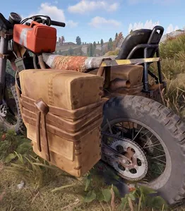 SaddleBags cover image